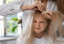 Сколько живут вши без носителя и в условиях внешней среды