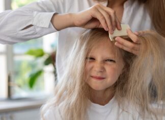 Сколько живут вши без носителя и в условиях внешней среды