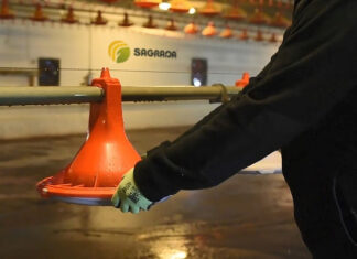 Гигиена сельскохозяйственной птицы