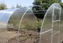 Теплицы из поликарбоната: надёжность, свет и урожай