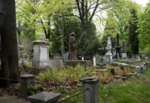 Московские кладбища: история, особенности и практические советы