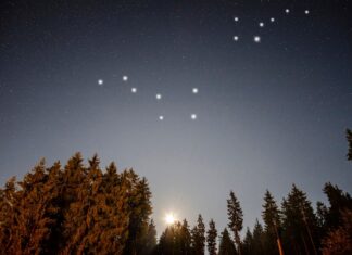 Сколько созвездий на небе?